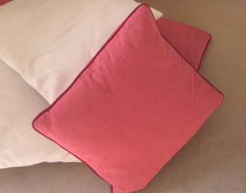 coussin-ganse0.jpg