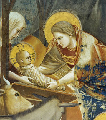 giotto-nativite.jpg